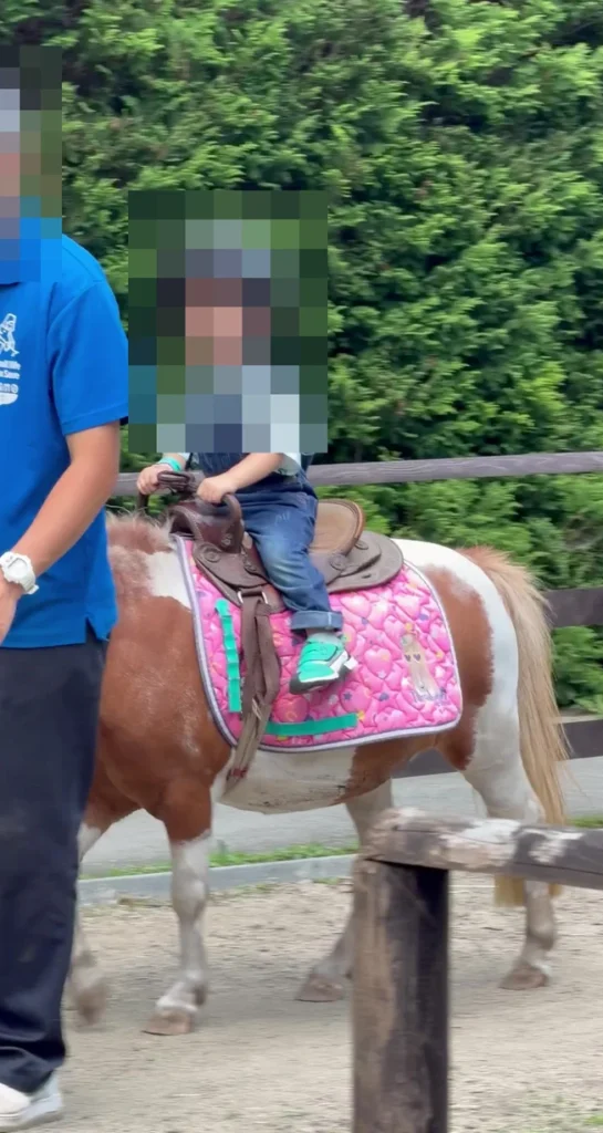 ヘルメットをかぶってポニーに乗る3歳児とスタッフ